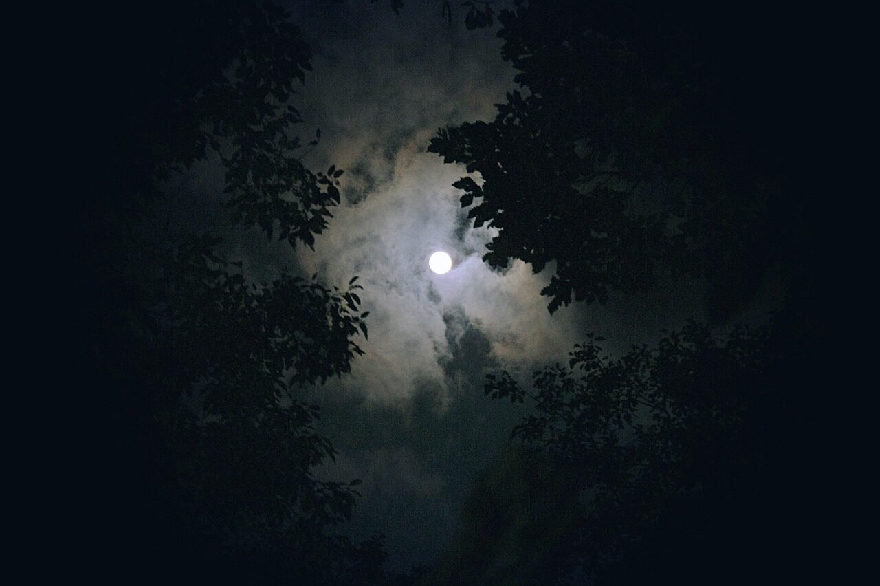 moon, cloud, night view, night, sky, in the evening, night sky, atmosphere, nature, tree, black, park, emotion, light, inside, mountaineering, autumn, valley, forest, daily life, shelter, bulb, store, think, walk, travel, tree decoration, leisure, ornament, quiet, christmas, republic of korea, relaxed
